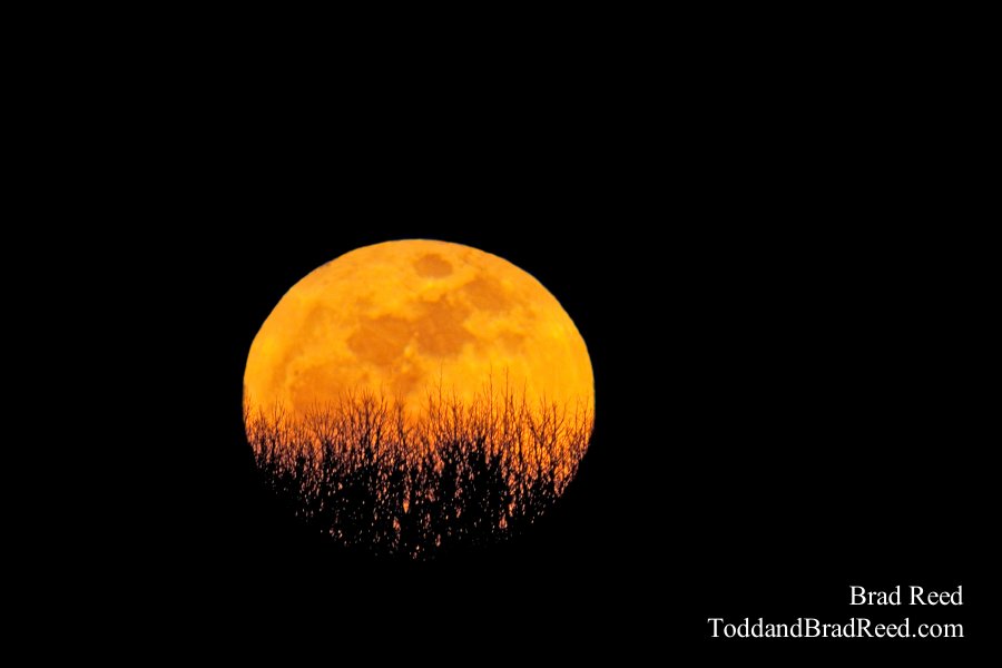 Super Moon