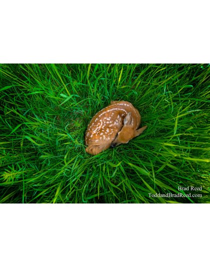 The Start of a Legend