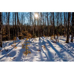 Winter Therapy
