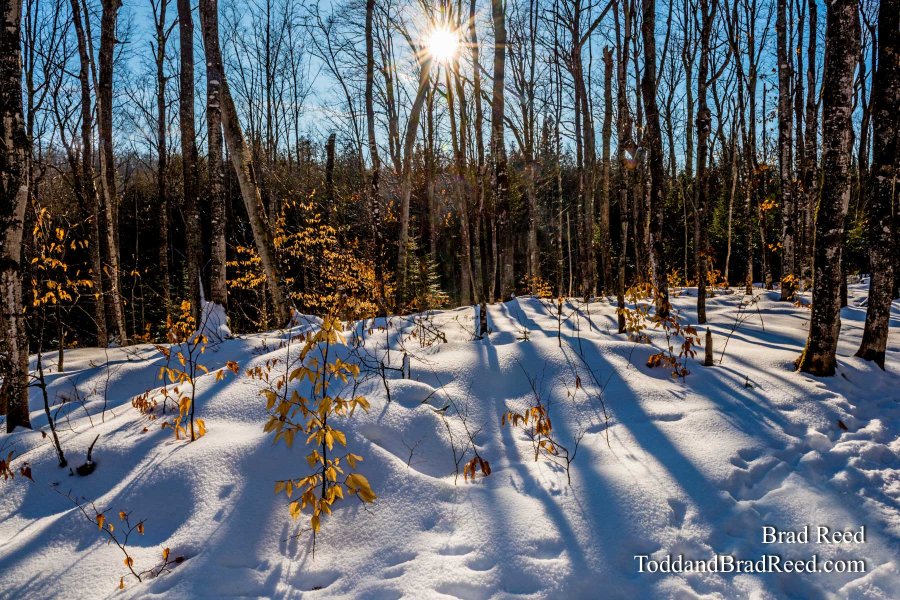 Winter Therapy