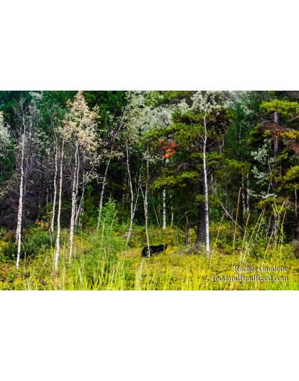 Panorama Resort (6136)