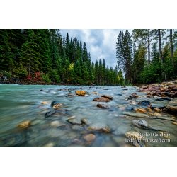 Toby Creek Adventures