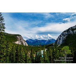 Fairmont View