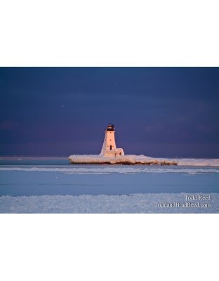 Ludington Frozen Light Gold (0230)