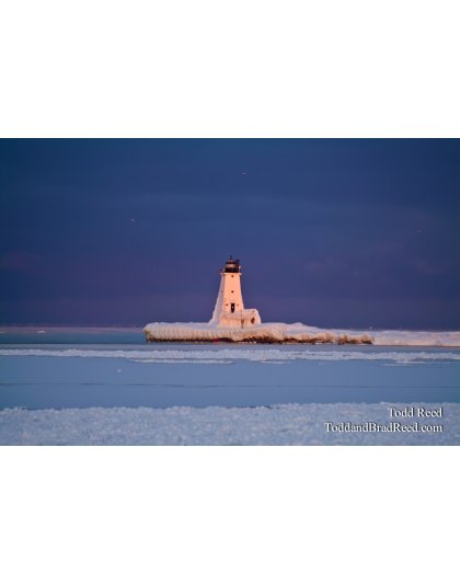 Ludington Frozen Light Gold (0230)