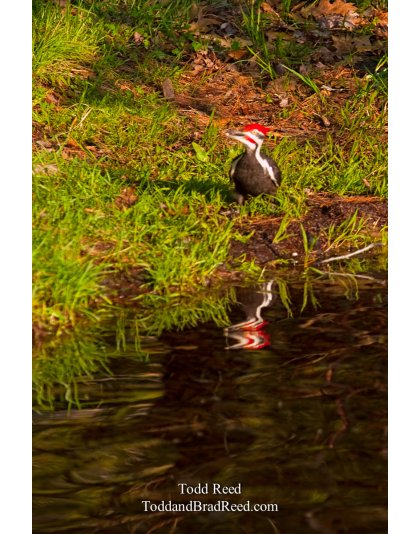 Ludington State Park (1479)
