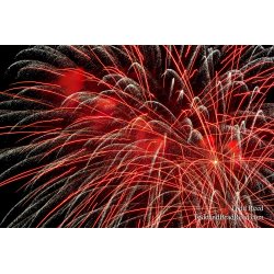 Colors Flying (2461)
