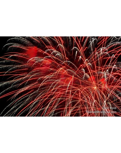 Colors Flying (2461)