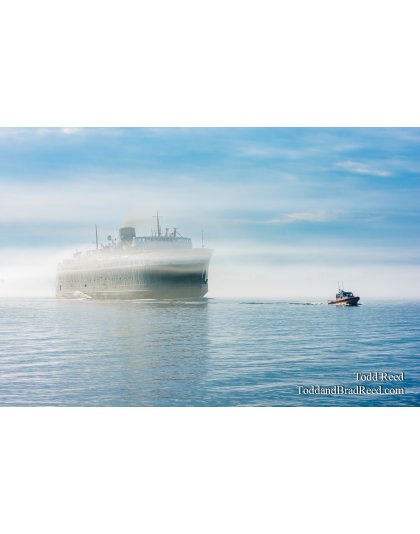 Badger in Fog (3024)