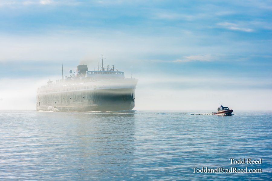 Badger in Fog (3024)