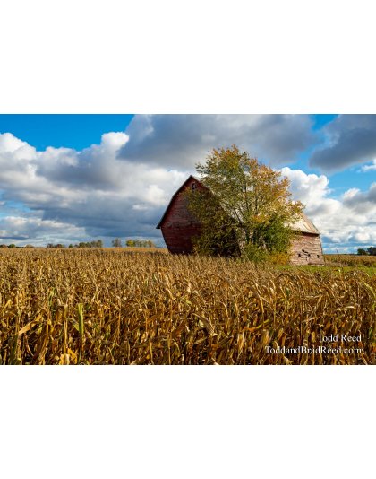 Fall in Mason County (3241)