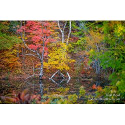 October 25 2013 (3475)