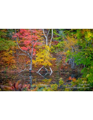 October 25 2013 (3475)