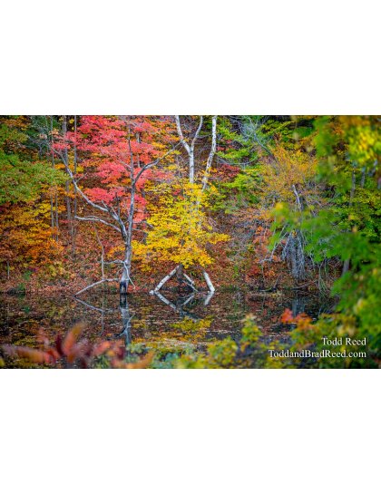 October 25 2013 (3475)