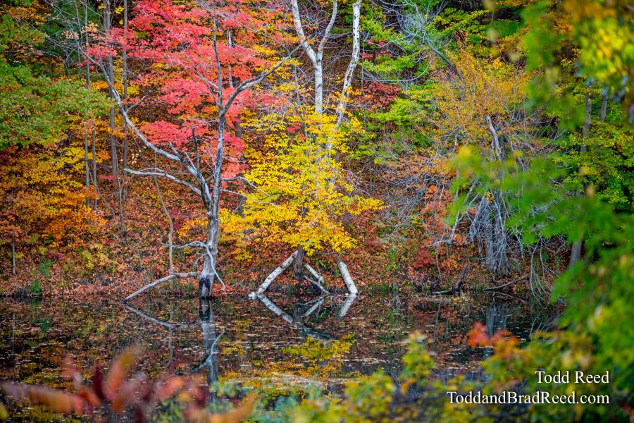 October 25 2013 (3475)