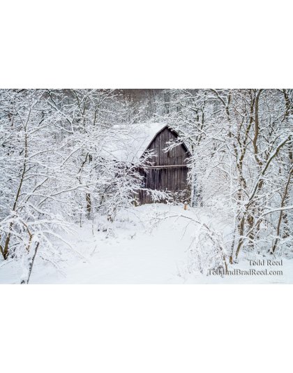 Wednesday November (3589)