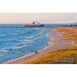Badger and Shoreline Walkers (4754)