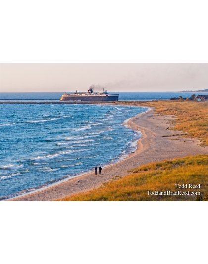 Badger and Shoreline Walkers (4754)