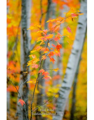 October 10 2012 (4979)