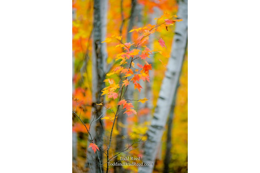 October 10 2012 (4979)