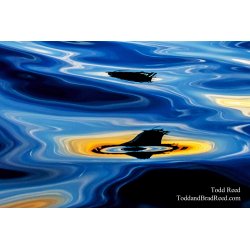 Todd Reed 7-29-2018 (5011)
