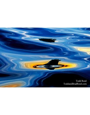 Todd Reed 7-29-2018 (5011)