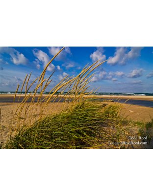 Silver Lake Outlet (5580)