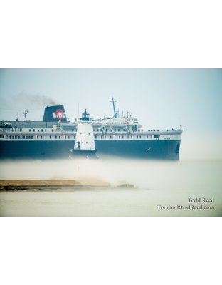 Carferry in Fog (6132)