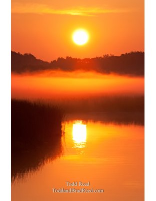 Lud State Park (6139)