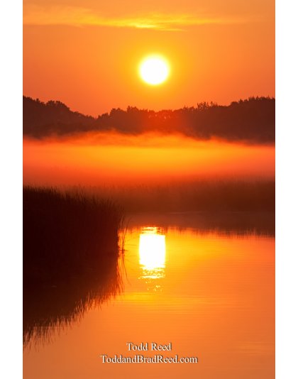 Lud State Park (6139)