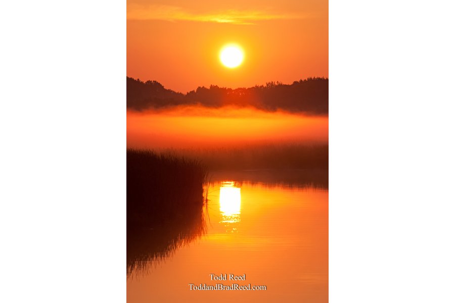 Lud State Park (6139)
