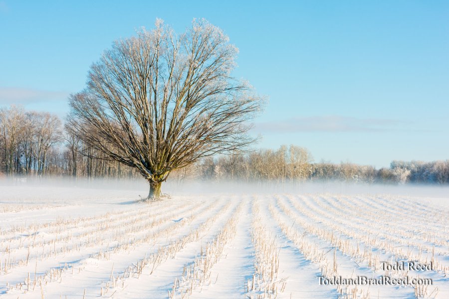 Farm Focal Point