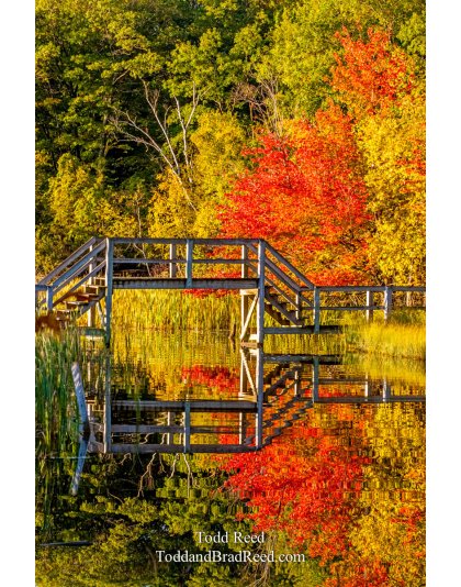 Weekend Workshop (6871)