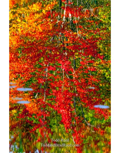 Weekend Workshop (6875)