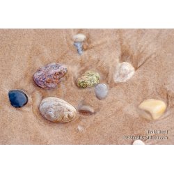365 Week 15 (6885)