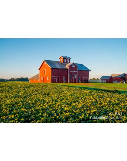 Metamora Horses Barns (6917)