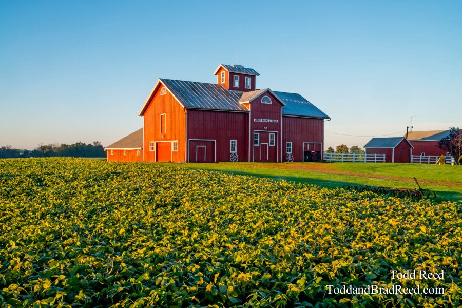 Metamora Horses Barns (6917)