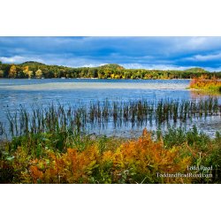 Bass Lake Splendor