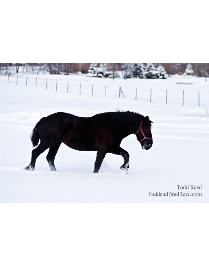 Conrad and Hawley Road December (7170)
