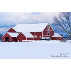 Cherry Hill Farms R (7348)