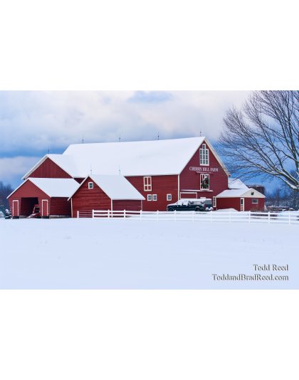 Cherry Hill Farms R (7348)