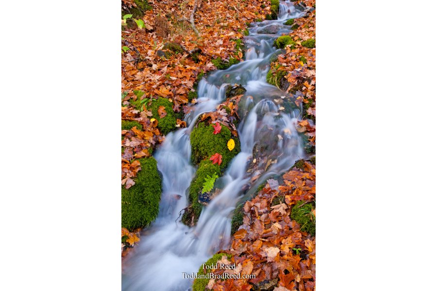 Fall Falls