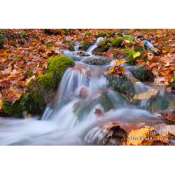 Gerlach Workshop in Munising (7418)