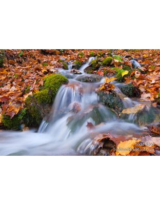 Gerlach Workshop in Munising (7418)