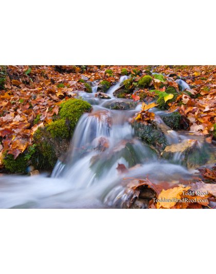 Gerlach Workshop in Munising (7418)