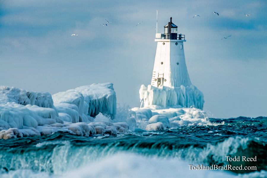 Arctic Ludington