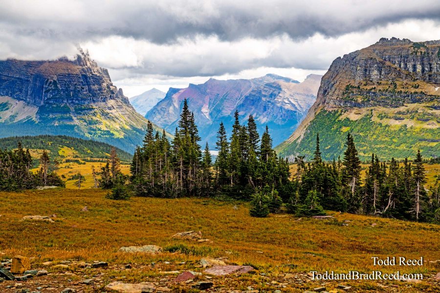 Halfway Up Logan Pass