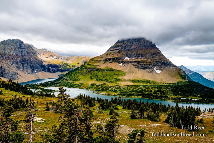 Montana Dreamscape