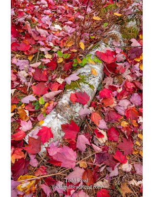 Gerlach Workshop in Munising (7932)