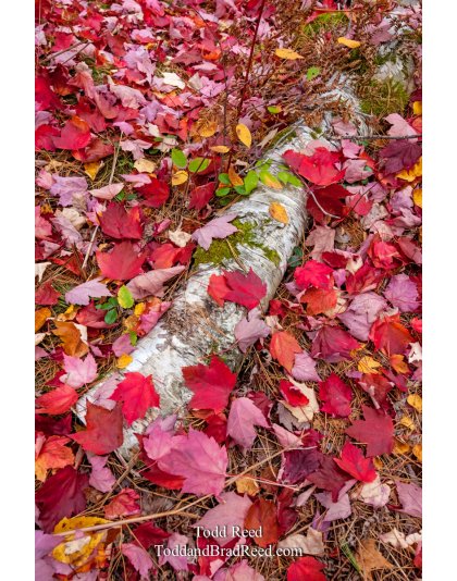 Gerlach Workshop in Munising (7932)